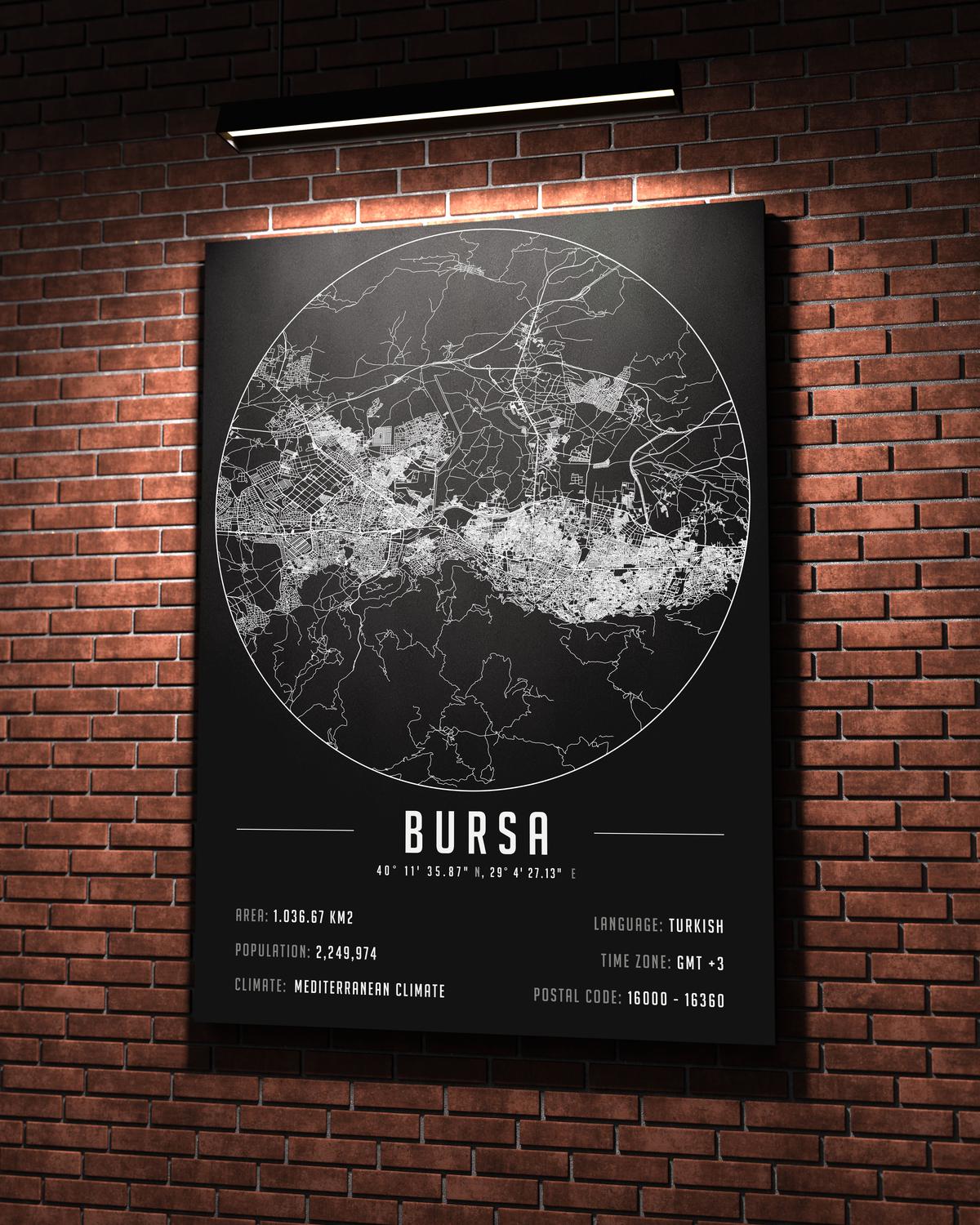 Bursa temalı kanvas tablo, 50x70 cm, siyah beyaz, ahşap çerçeveli, modern minimalist duvar dekorasyonu için ideal tasarım