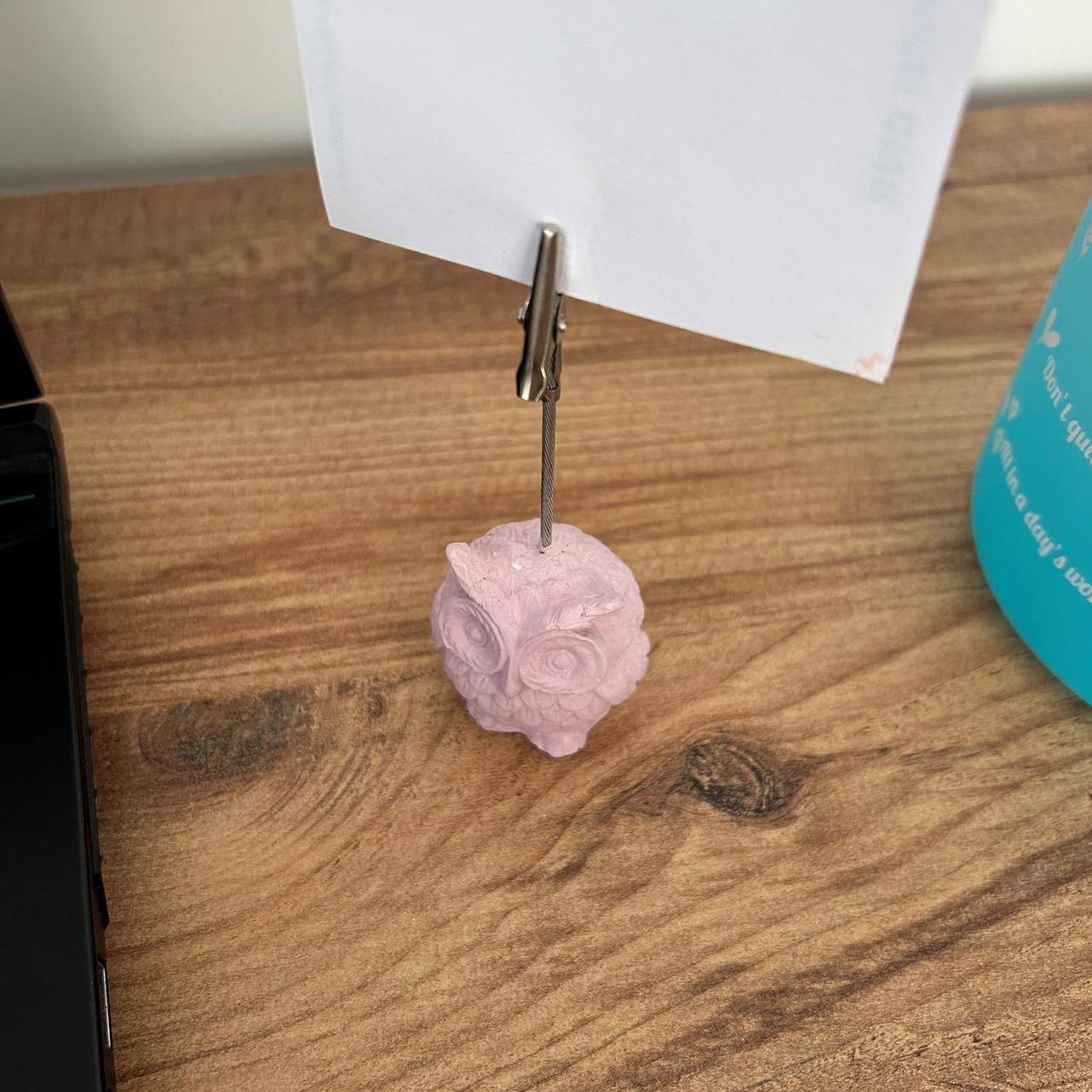 Pembe Büyü Baykuş Not Tutucu