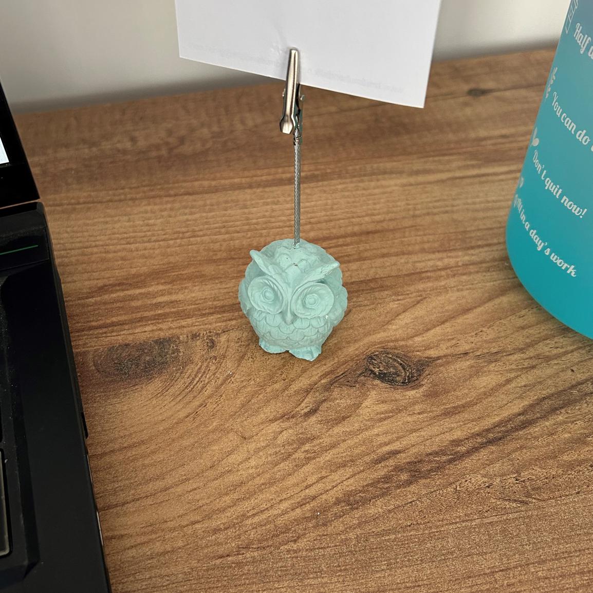 Nane Baykuş Not Tutucu