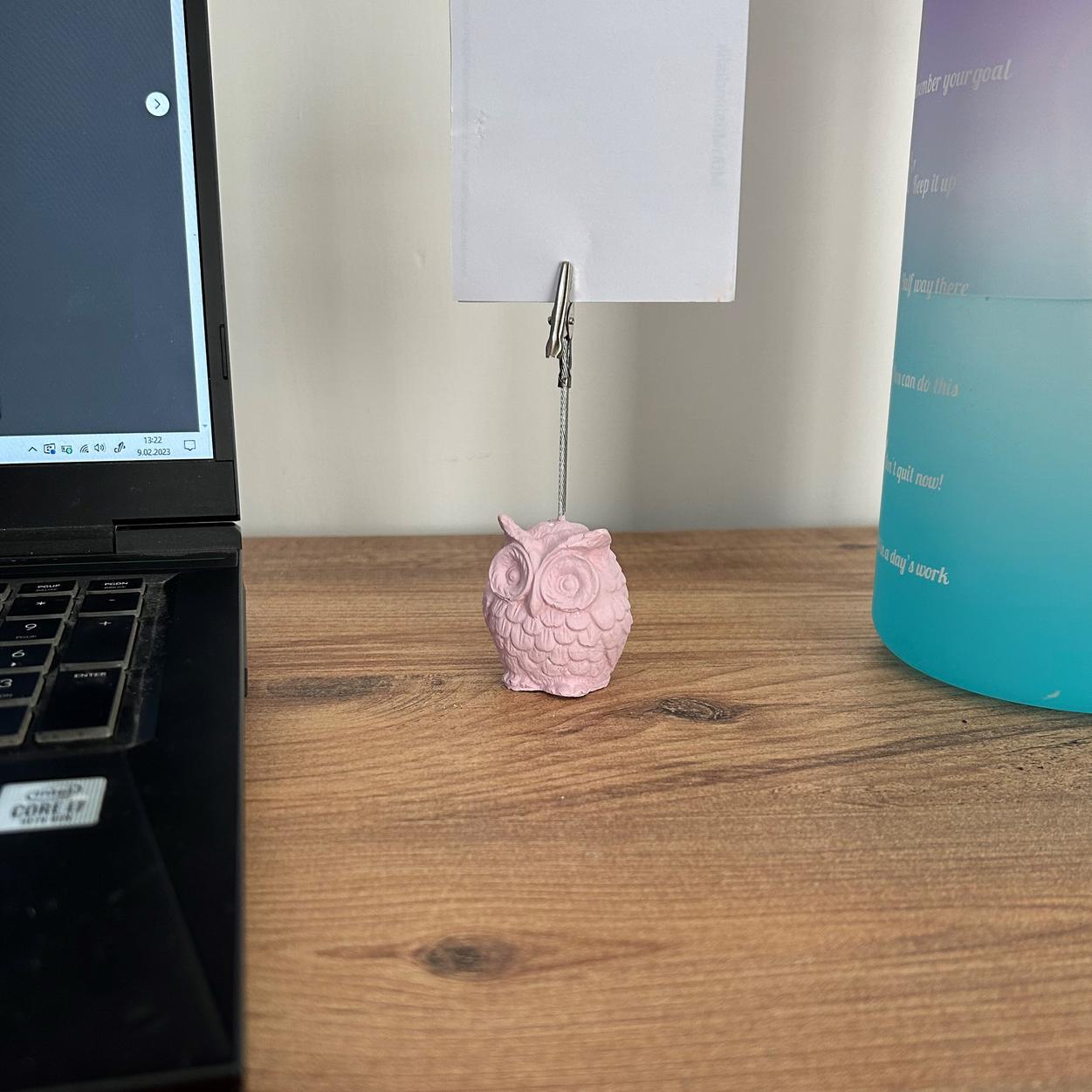 Baykuş 2'li Not Tutucu (Buz Yeşili - Pembe Büyü )
