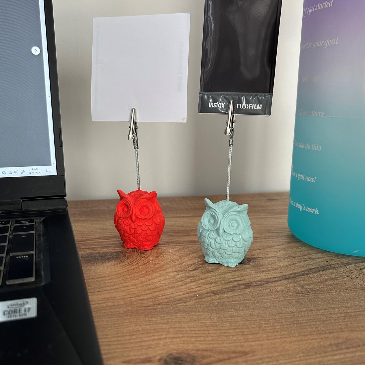 Baykuş 2'li Not Tutucu (Nane - Mercan)