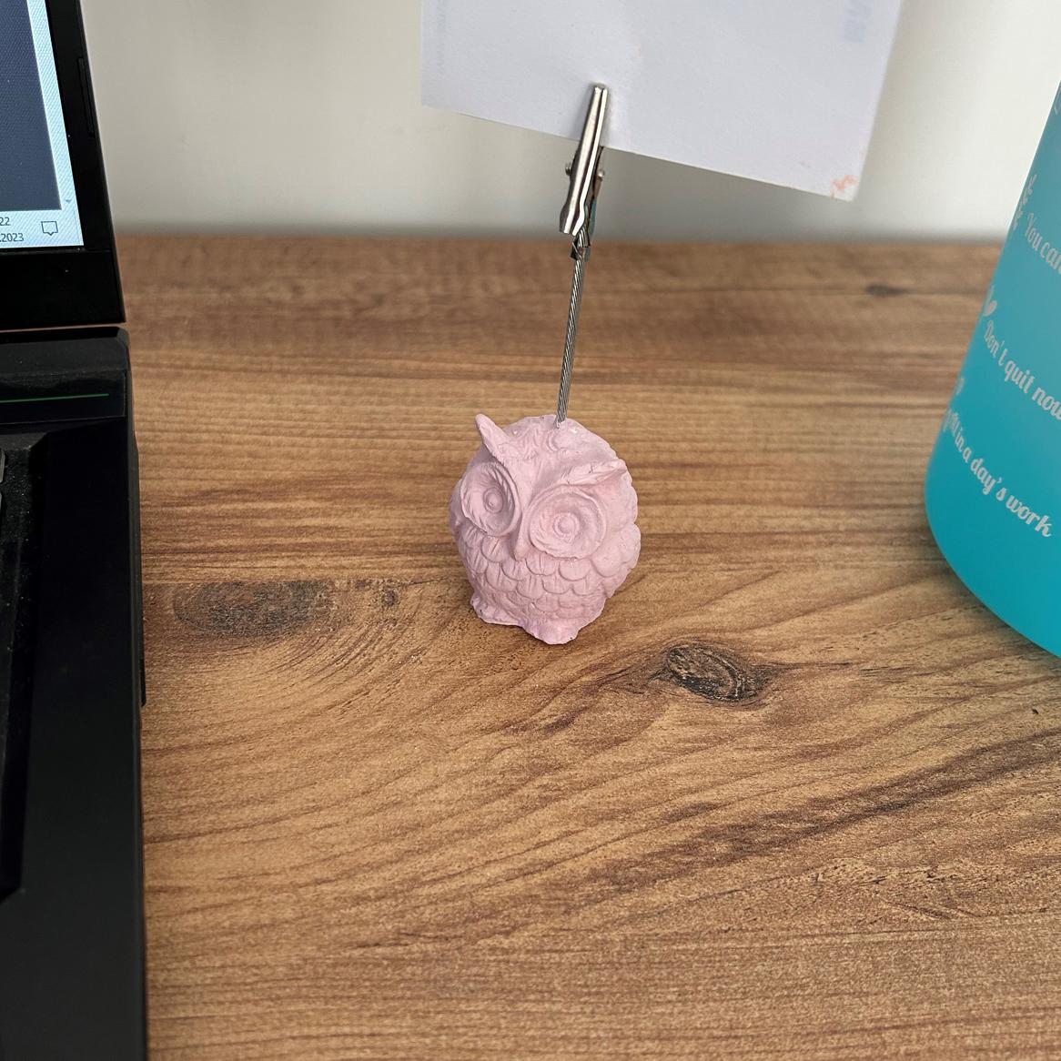 Baykuş 2'li Not Tutucu (Pembe buyu- Mercan)