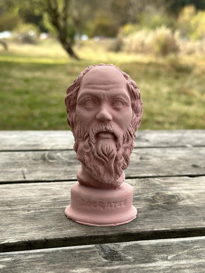 Antik Pembe Socrates Heykel Büst Biblo 13 cm