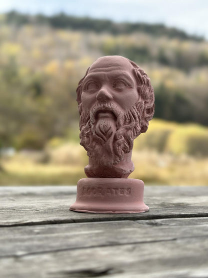 Antik Pembe Socrates Heykel Büst Biblo 13 cm