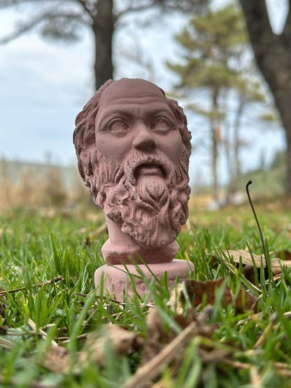 Antik Pembe Socrates Heykel Büst Biblo 13 cm