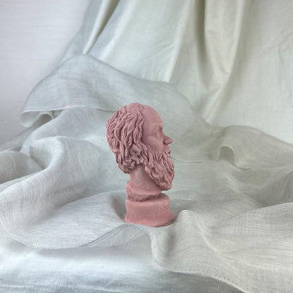 Antik Pembe Socrates Heykel Büst Biblo 13 cm