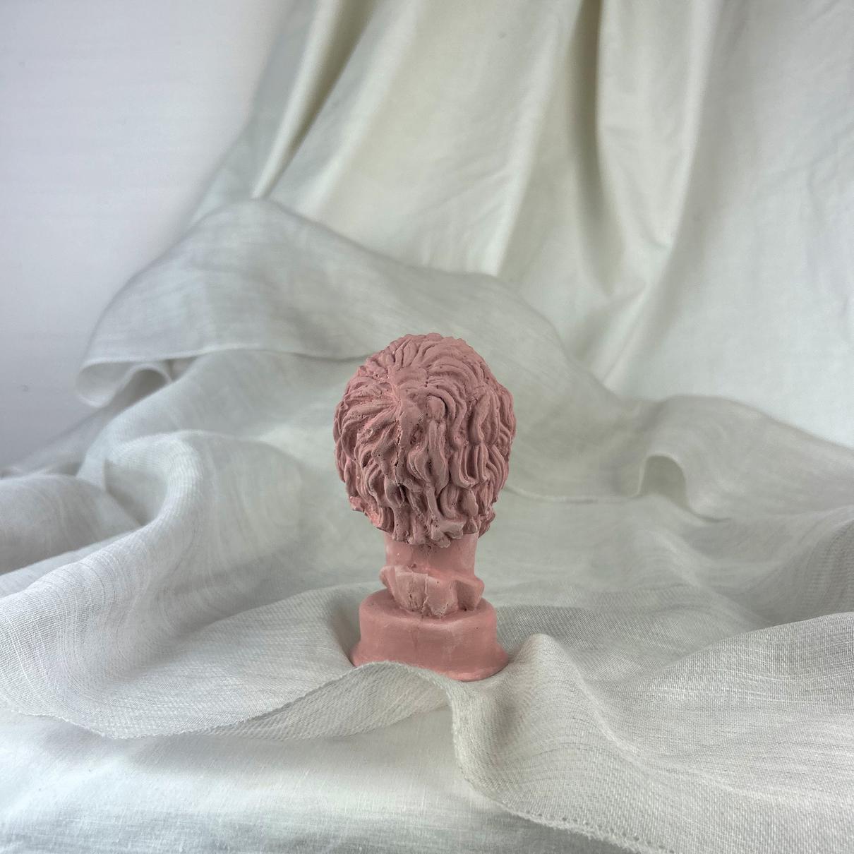 Antik Pembe Socrates Heykel Büst Biblo 13 cm