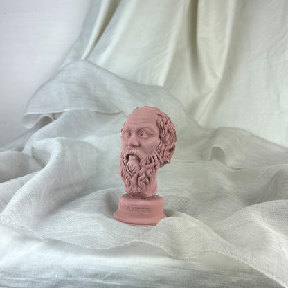Antik Pembe Socrates Heykel Büst Biblo 13 cm